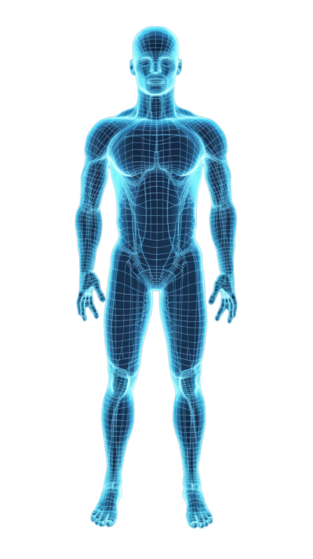 Full-body health screening figure